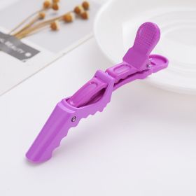 Plastic Positioning Partition Hair Tools Barrettes (Option: Purple-With logo)